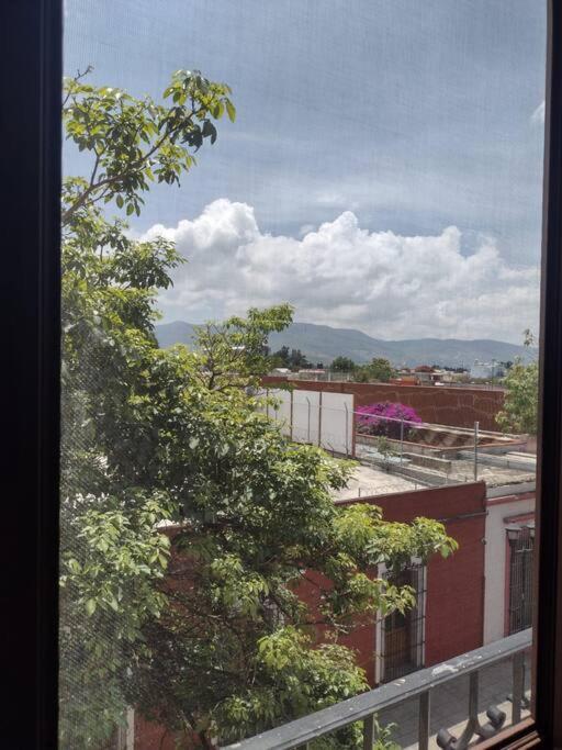 M1010 Agradable Departamento Centrico En Oaxaca Apartment Luaran gambar